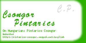 csongor pintarics business card